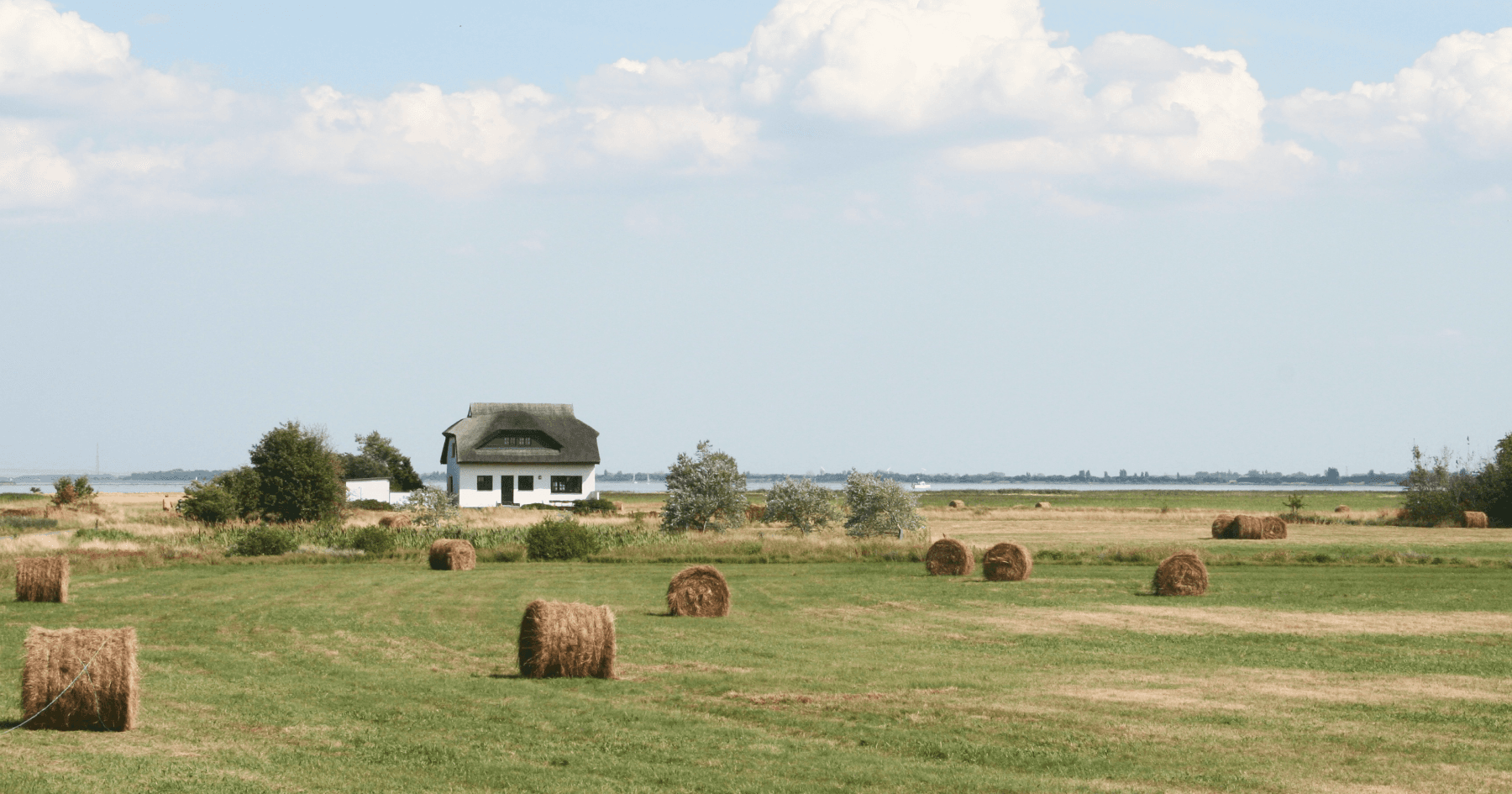 Вебінар. Змішане фінансування бізнесу з різних джерел: гранти та кредити для агровиробників та сільського зеленого туризму.