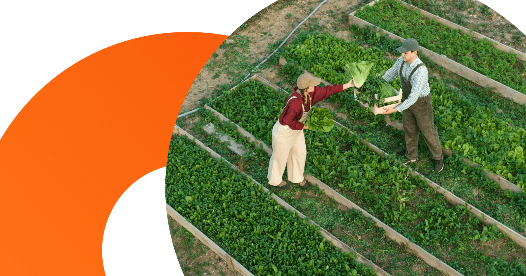 Змішане фінансування малого бізнесу: як фермери можуть залучати кошти з різних джерел